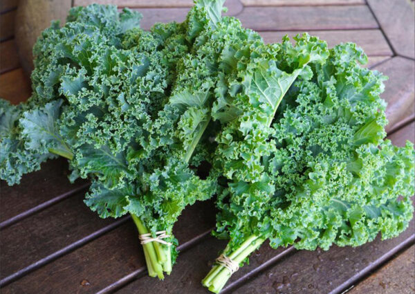 Kale (Vates Blue - Curly Leaf)