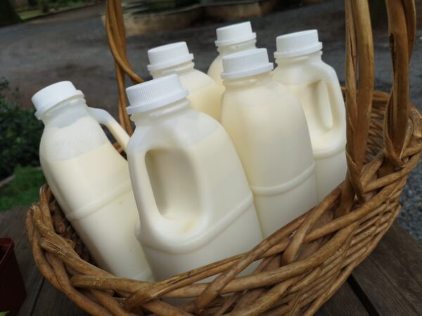 Milk (RAW Unpasteurized)