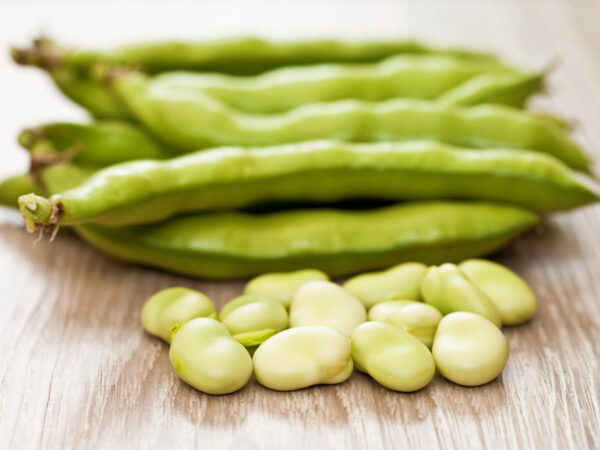 Broad Beans (Fava Beans)